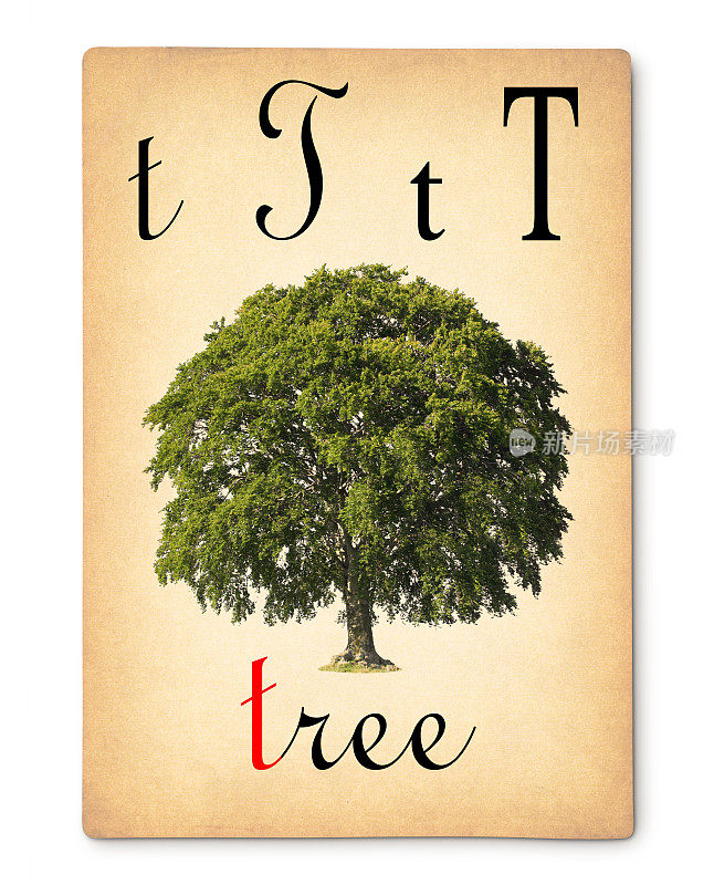 字母T -树。老式的字母卡片。